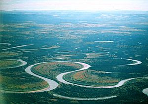Archivo:Nowitna river