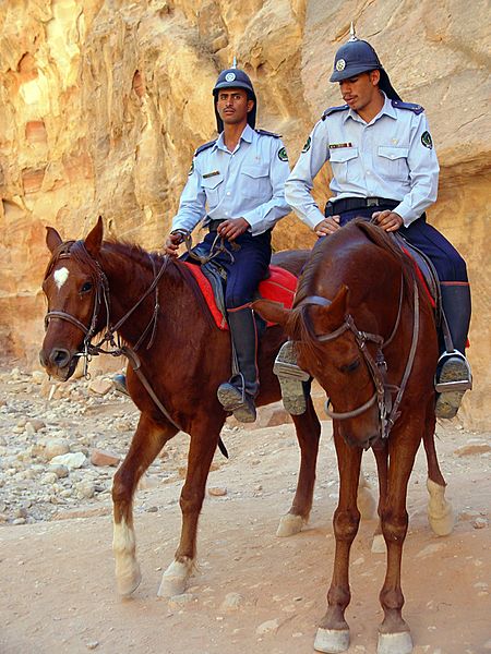 PetraPolice
