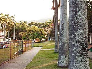 Archivo:Plaza Los Rauseos