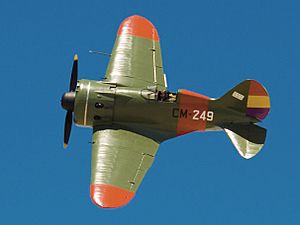 Archivo:Polikarpov I-16-Spain (clipped and decolored)