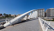 Puente de la Alameda, Valencia, España, 2014-06-30, DD 83