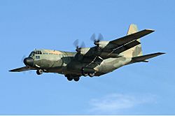 Archivo:RAAF Lockheed C-130H Hercules AVV Creek