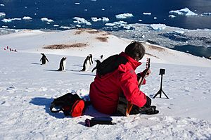 Archivo:Rafael Serrallet playing in Antarctica