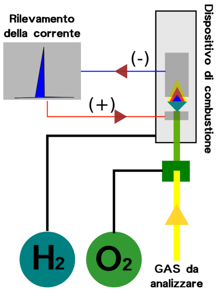 Schema - FID