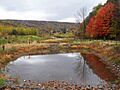 Stacy Levy - AMD-Art - Project in Vintondale