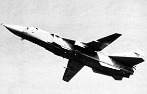 Archivo:Su-24 Fencer BW left underside view
