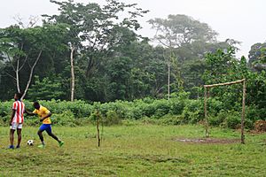 Archivo:Terrain de football du village de Tayap