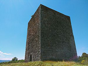Archivo:Torre medieval de San Martín de Hoyos - Exterior 02