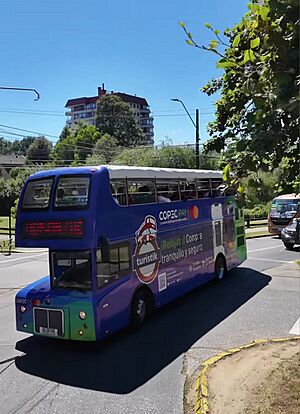 Archivo:Turistik Valdivia