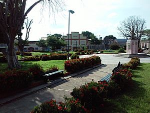 Vista de la Plaza Bolivar.jpg
