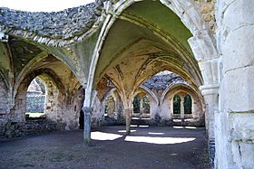 Waverley abbey undercroft.jpg