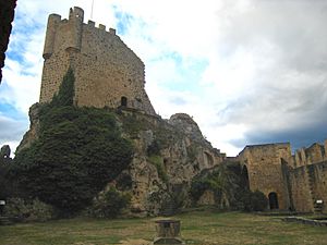 Archivo:18092007-frias-castillo-3