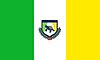 Bandera Ayutla.jpg