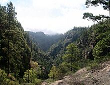 Barranco del Infierno.jpg