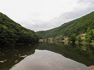 Archivo:Bij Vianden, de Our foto1 2014-06-07 16.22
