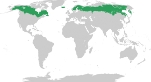 Archivo:Biome map 06