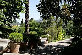 Botanisk have i Sóller 1.jpg