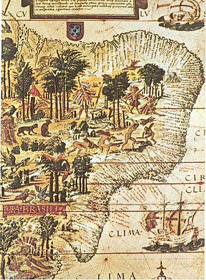 Archivo:Brazil-16-map