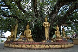 Archivo:Buddha sculptures at That Luang