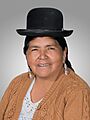 Celia Nancy Rivera Mamani (Official Photo, 2020) Chamber of Deputies of Bolivia