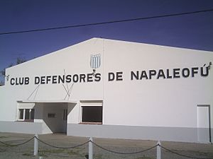 Archivo:ClubDefensoresdeNapaleofú