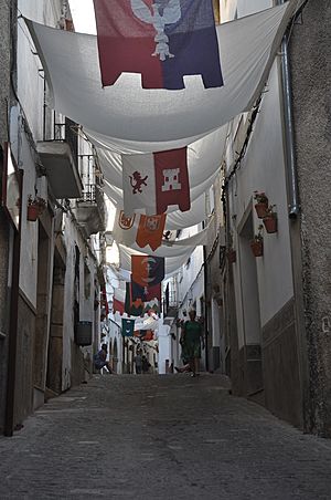 Archivo:Decoracion de las calles Festival Medieval de Alburquerque Con pendones