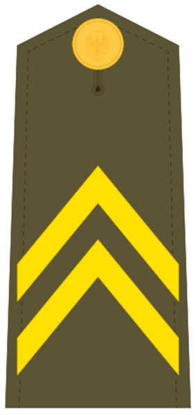 Ejerespadivi07