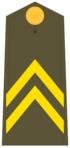 Ejerespadivi07.svg