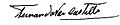 Firma Fernando Paz Castillo