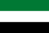 Flag of Mizque, Bolivia.svg