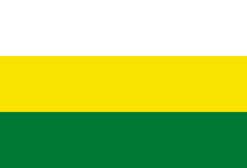 Flag of San Lucas, Bolivia
