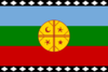 Flag of the Mapuches (1992).svg