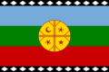 Flag of the Mapuches (1992)
