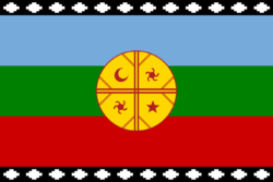 Archivo:Flag of the Mapuches (1992)