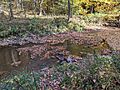 Garner's Creek in Don Fries - 1