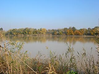 Guadalquivir Séville.JPG