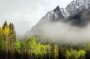Archivo:Hillsdale Ridge 2 - Sawback Range - Bow Valley