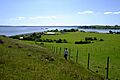 Isla capera (22288567038)