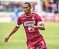 Jerry Bengtson 2017