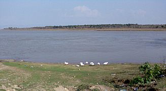 Jhelum River001