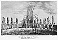 Kealakekua Bay heiau illustration