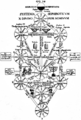 Kircher Tree of Life