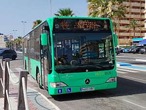 Archivo:Línea 44 (Movibus) - Alsa 3176