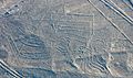 Líneas de Nazca, Nazca, Perú, 2015-07-29, DD 58