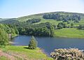 Ladybower June2006