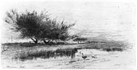 Landscape with ducks) - Florence Este LCCN90709002