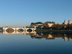 Archivo:Le pont d'Avignon depuis l'île de la Barthelasse