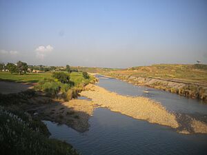 Archivo:Ling beside a village