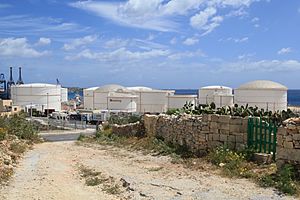 Archivo:Malta - Birzebbuga - Freeport (Triq Benghajsa) 07 ies