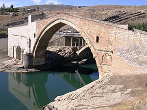 Archivo:Mamaluk Malabadi Bridge- 1146 AD